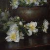 Von Maur Peonies