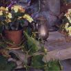 Yellow Begonias