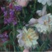 PeoniesWhiteAndPink
