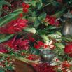 Pomegranates and Ginger