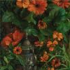 Rose Frantzen Orange Flowers