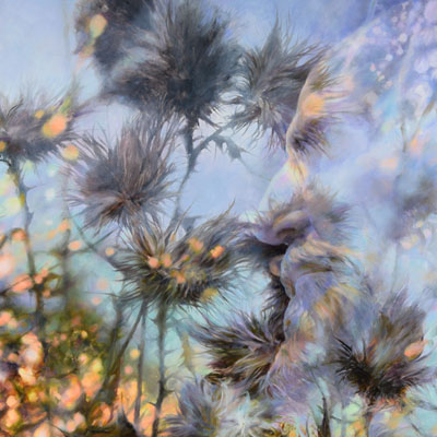 ''Thistle Series'', one of 28 panels, oil, private collection